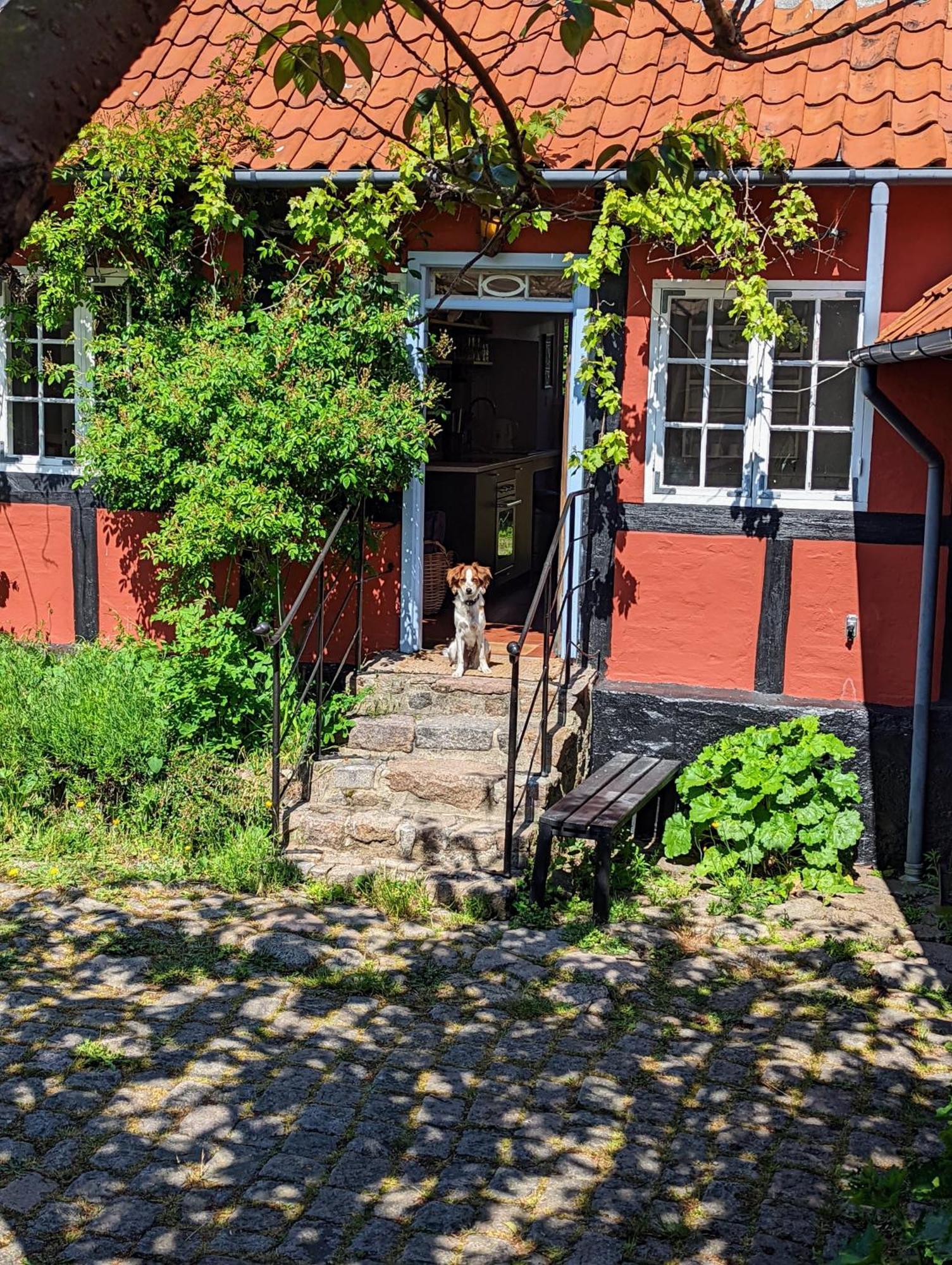 Pensionat Naesgaarden Allinge-Sandvig Exterior foto